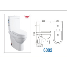 Watermark Washdown Zwei-teilige Toilette mit S-Trap160 / 220mm / P-Trap180mm (A-6002)